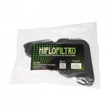 Filtre a Air HFA5204 HIFLOFILTRO
